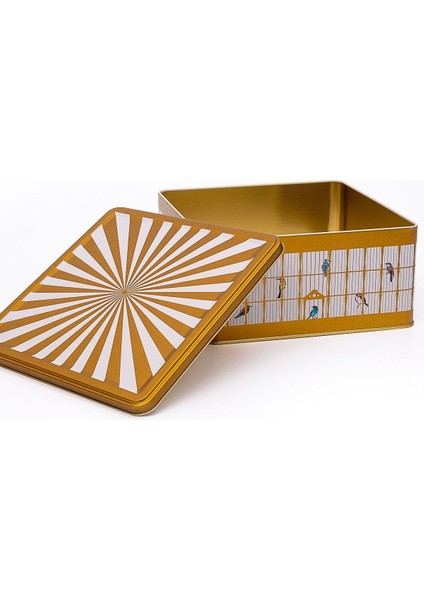 ER029-T7 Bird Cage Desenli Kare Metal Saklama Kabı 24X24 cm fiyatları