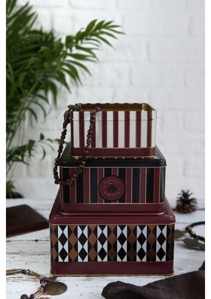 Kare Saklama Kabı 3 Lü Set, Circus modelleri