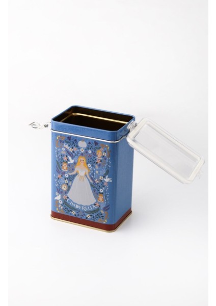 ER043-U9 Tales Cinderella Desenli Dikdörtgen Metal Saklama Kabı 8X10 cm modelleri