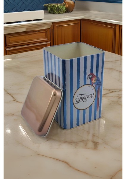 EF022-F4 Safari Parrot Desenli Kare Metal Saklama Kabı 11X11 cm