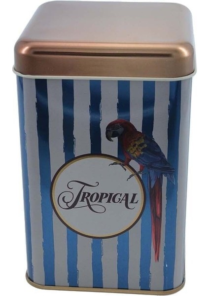 EF022-F4 Safari Parrot Desenli Kare Metal Saklama Kabı 11X11 cm modelleri