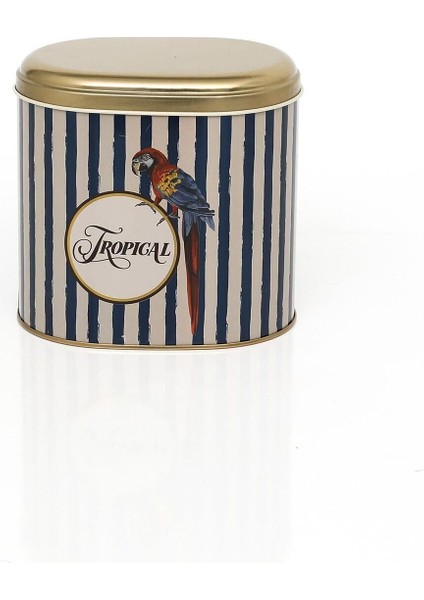 Safari Papağan Desenli Oval Saklama Kabı 108X150X130 mm 1,7 Lt EF004-F4 fırsatları