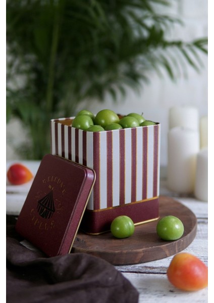 ER024-1F Circus Cream Desenli Kare Metal Saklama Kabı 12X12 cm