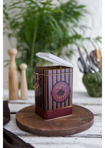 Dikdörtgen Kutu, 75X100X150 Mm, Şeffaf Kilitli Kapak, 1 Lt