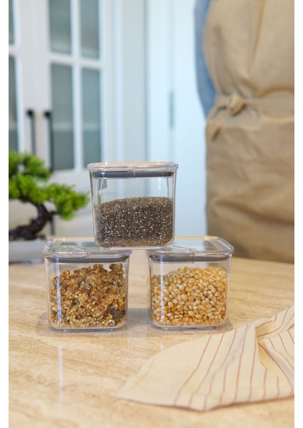 Pratik Saklama Kabı 3 x 700 ml fiyatları