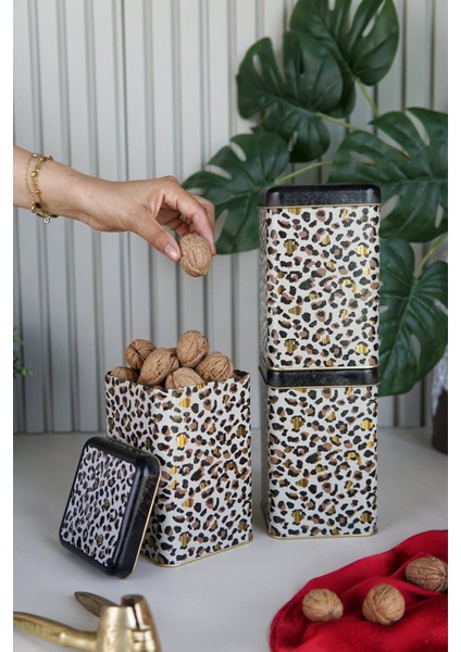 ERB09V4 Kare Saklama Kabı 105X105 3 Lü Set, Leo