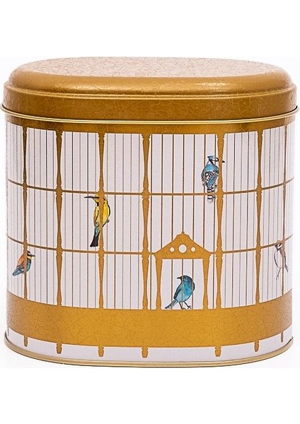 ER004-T7 Bird Cage Desenli Oval Metal Saklama Kabı 11X15 cm