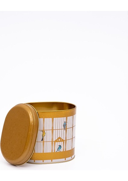 ER004-T7 Bird Cage Desenli Oval Metal Saklama Kabı 11X15 cm fiyatları