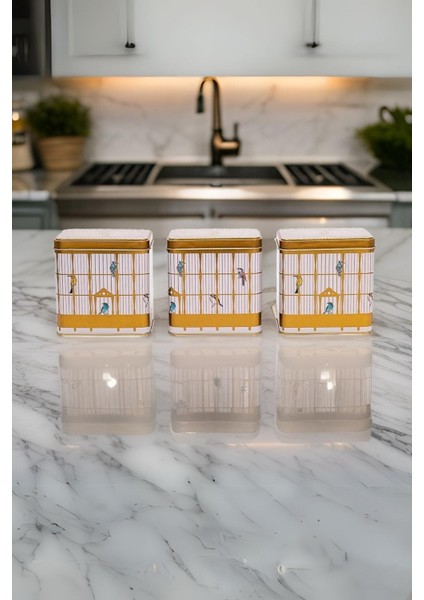 Dikdörtgen Saklama Kabı 80X120 3 Lü Set, Bird Cage