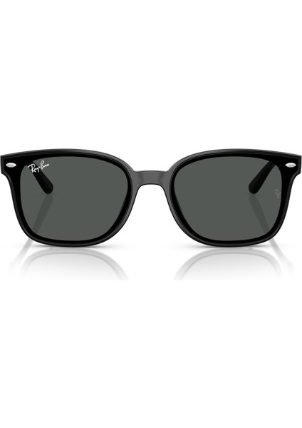 Güneş Gözlüğü RB4461D 64 601/87 indirimleri