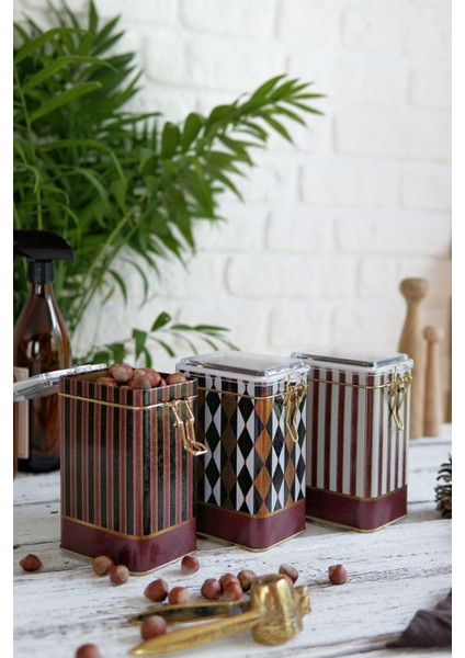 ERB21T8 Dikdörtgen Kilitli Saklama Kabı 75X100X150 3 Lü Set, Circus