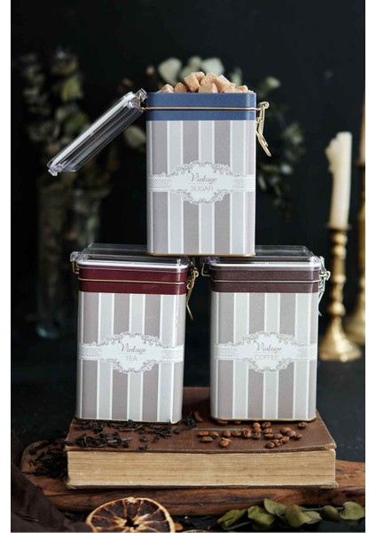 Erb21v5 Dikdörtgen Kilitli Saklama Kabı 75x100x150 3 Lü Set, Elegance