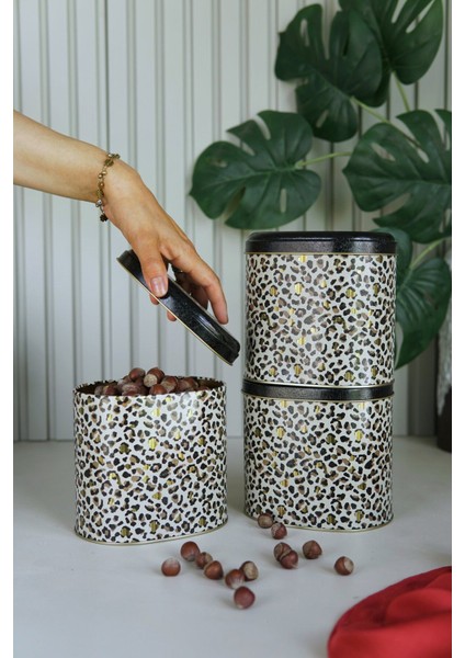 ERB07V4 Oval Metal Saklama Kabı 3 Lü Set, Leo