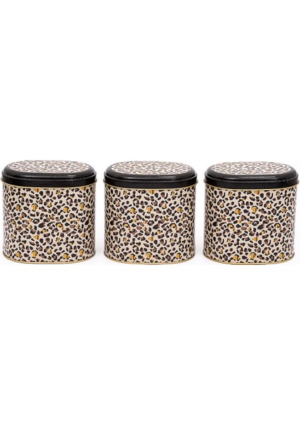 ERB07V4 Oval Metal Saklama Kabı 3 Lü Set, Leo modelleri