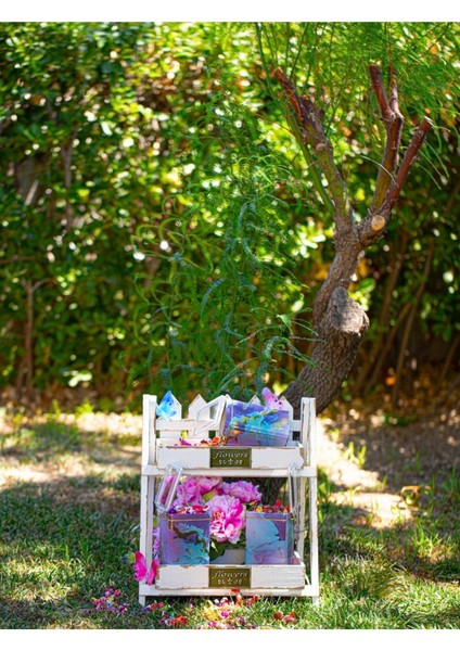 Dikdörtgen Kilitli Saklama Kabı 3'lü Set 75 x 100 x 150 Cm. Purple indirimleri