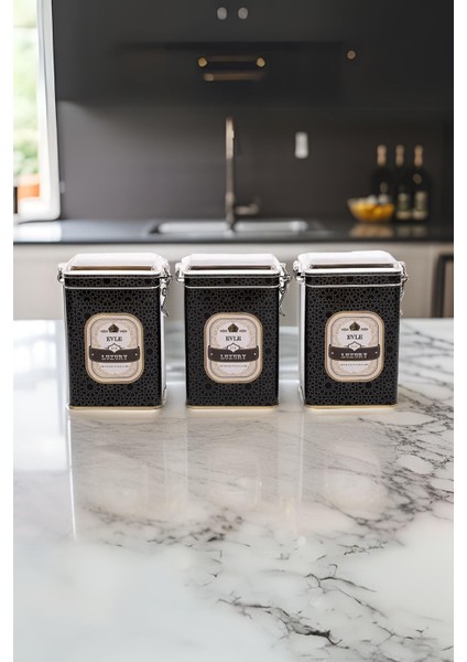 Erb21v2 Dikdörtgen Kilitli Saklama Kabı 75x100x150 3 Lü Set, Trellis