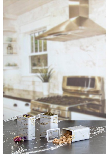 Dikdörtgen Kilitli Saklama Kabı 3'lü Set 75 x 100 x 150 White Marble