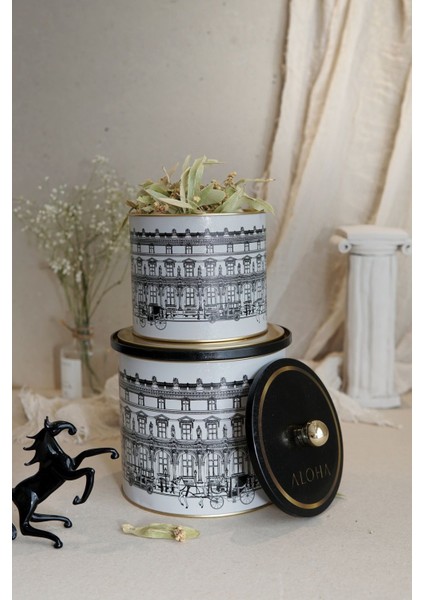 ERB45T9 Ø175, Ø140 Çap Topuz Kulplu 2 Li Set H:125, H:155, City fiyatları