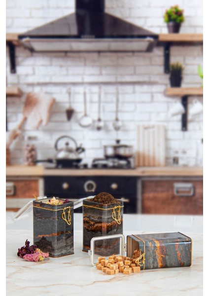 Dikdörtgen Kilitli Saklama Kabı 3'lü Set 75 x 100 x 150 Cm. Rock & Gold modelleri