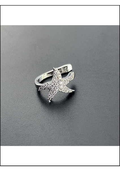 Zirkon Taşlı, Yıldız, Kulak Kıkırdak Bölgesi Bijuteri Küpe 506, Gümüş Renk modelleri