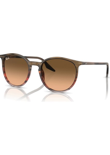 0RB2204 13953B 54 Kadın Güneş Gözlüğü