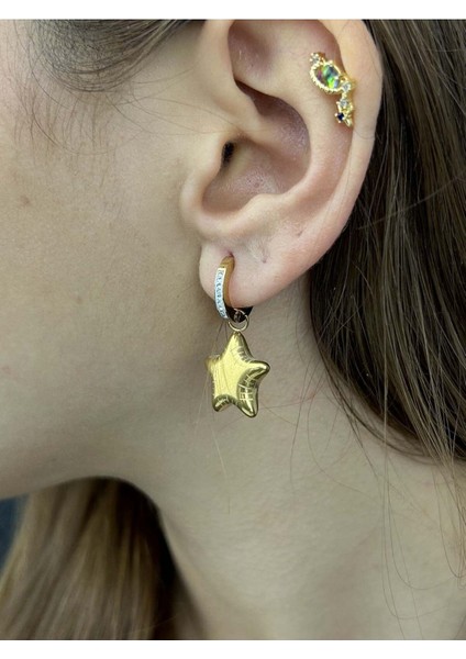 Zirkon Taşlı, Kalp, Sallantılı Model, Paslanmaz Çelik Küpe 374, Altın Renk