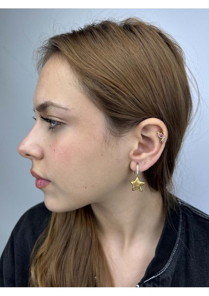 Zirkon Taşlı, Kalp, Sallantılı Model, Paslanmaz Çelik Küpe 374, Altın Renk fiyatları