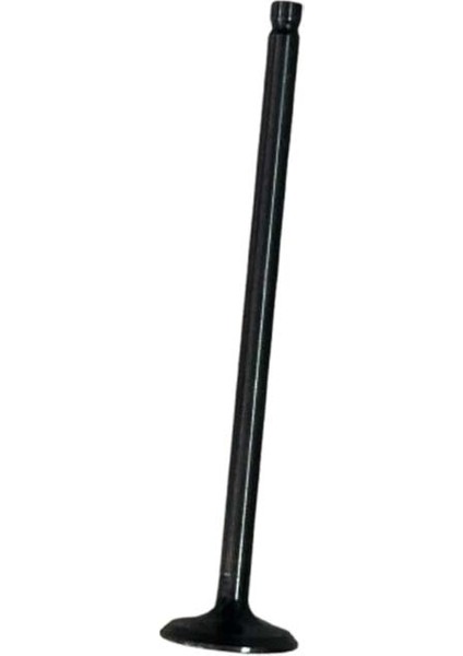 Tvs Raider 125 Emme Subabı Subap 1 Adet A