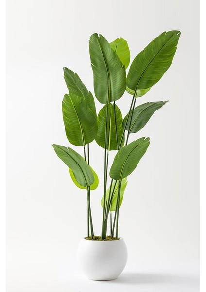 Yapay Starliçe Ağacı 180 cm Geniş Yapraklı Plastik Küre Saksı