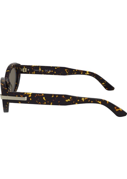 CK25502S-240 Kadın Güneş Gözlüğü