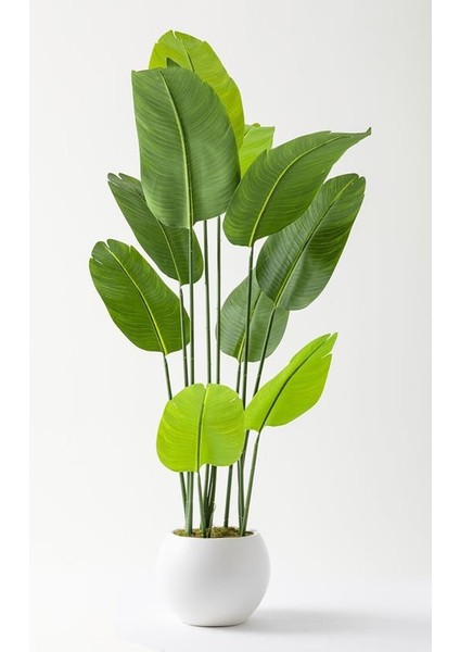 Yapay Starliçe Ağacı 160 cm Geniş Yapraklı Plastik Küre Saksı