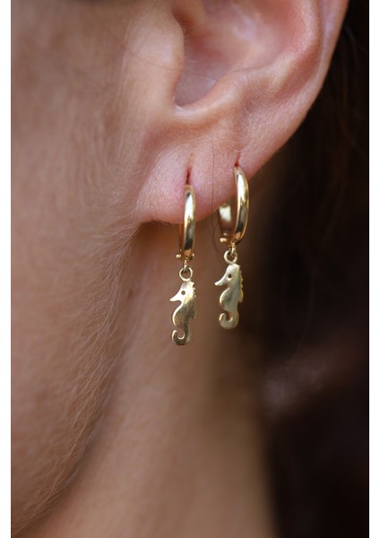 14 Ayar Altın Denizatı Obje Detaylı Halka Küpe fiyatları