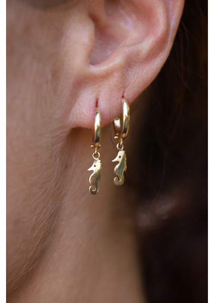 14 Ayar Altın Denizatı Obje Detaylı Halka Küpe fırsatları