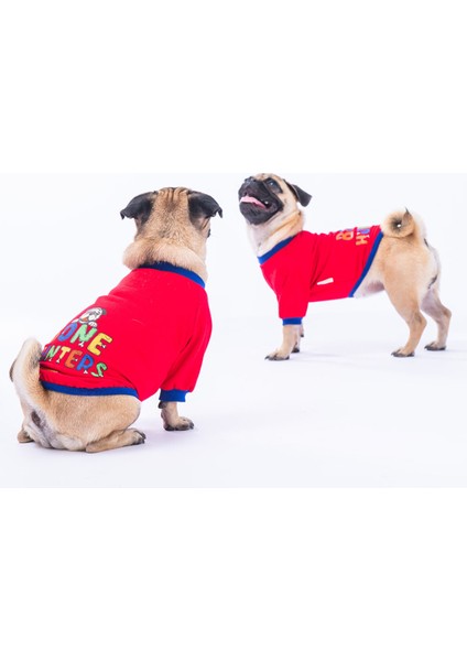 Kırmızı Bone Hunter Köpek Sweati Köpek Kıyafeti Kedi Kıyafeti fiyatları