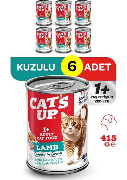 Cats Up Yaş Yetişkin Kedi Maması Kuzu Etli 415GR 6lı