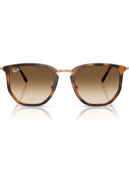 Güneş Gözlüğü RB4451 53 680451 indirimleri