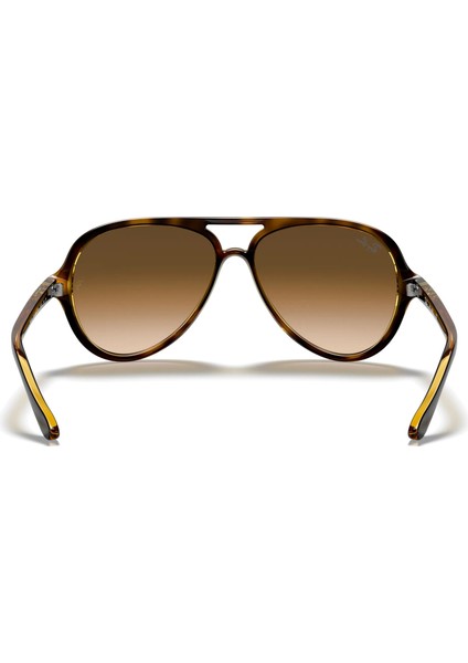 Rb4125 Cats 5000 710/51 Güneş Gözlüğü modelleri