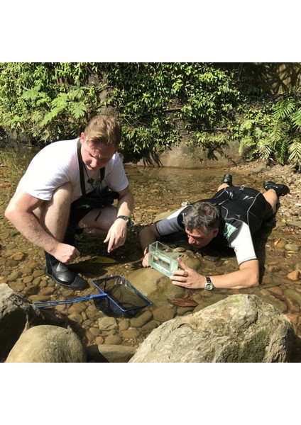 Premium Kepçe 25 Cm modelleri