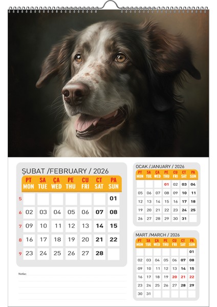 2026 Köpek Duvar Takvimi 33X48 Cm-Planlamalı Model Seçeneği ile fiyatları