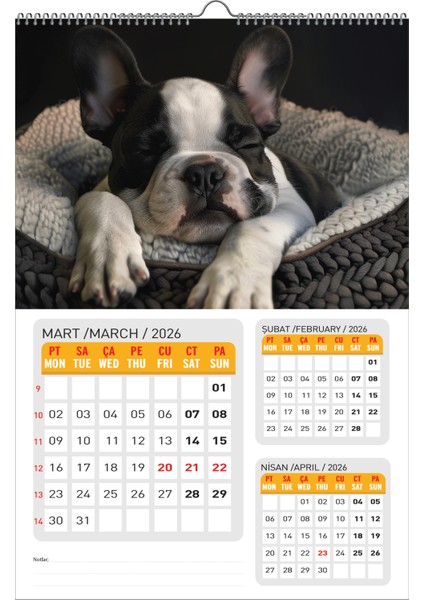 2026 Köpek Duvar Takvimi 33X48 Cm-Planlamalı Model Seçeneği ile modelleri