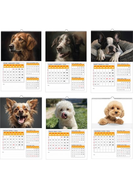 2026 Köpek Duvar Takvimi 33X48 Cm-Planlamalı Model Seçeneği ile fırsatları