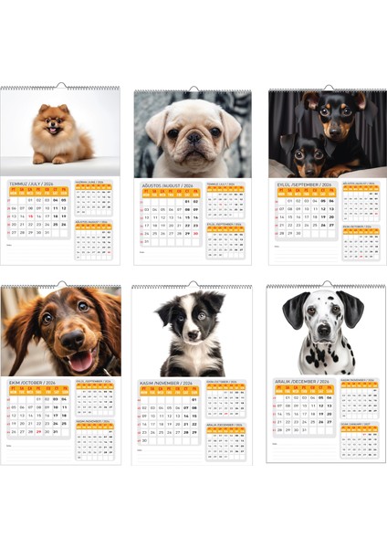 2026 Köpek Duvar Takvimi 33X48 Cm-Planlamalı Model Seçeneği ile indirimleri