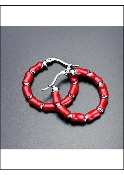 Kırmızı Motifli, Halka Model, Paslanmaz Çelik Küpe 540, Kasa Gümüş Renk modelleri