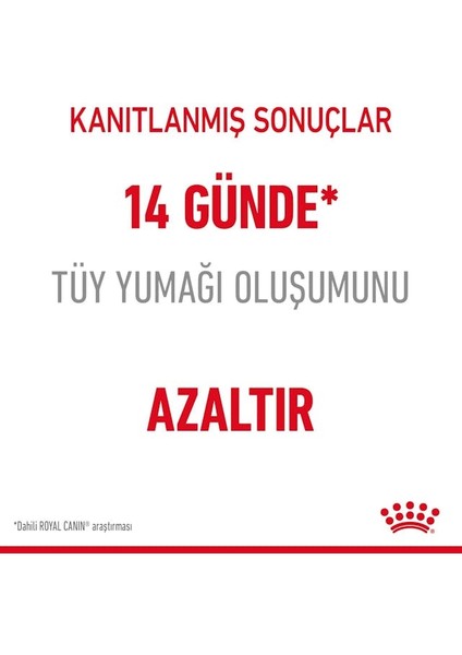 Hairball Care Tüy Yumağı Önleyici Kedi Maması 2 Kg fırsatları