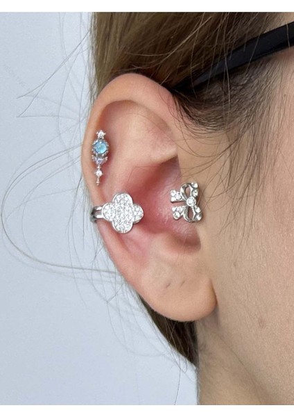 Küpe, Kararmayan Çelik, Kıkırdak bölgesi, , Gümüş Renk, Model501