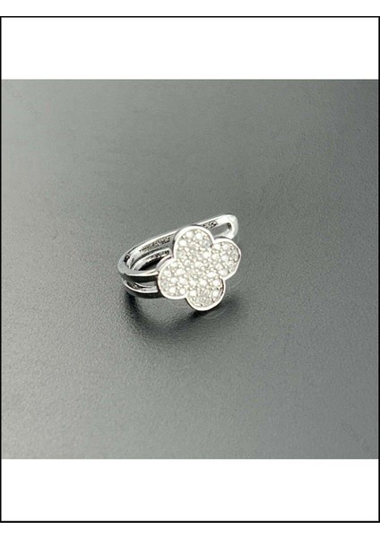 Küpe, Kararmayan Çelik, Kıkırdak bölgesi, , Gümüş Renk, Model501 modelleri