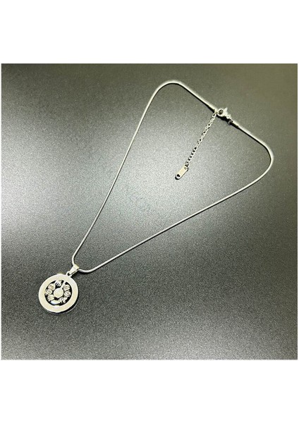 Xxx Dorika Figürlü, Paslanmaz Çelik Kolye 206, Gümüş Renk modelleri