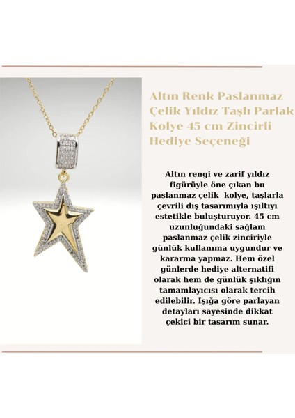 Kadın Altın Renk Paslanmaz Çelik Yıldız Taşlı Parlak Kolye Zincirli Hediye Seçeneği