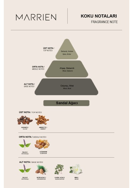 Sandalwood 100 ml Silindir Dekoratif Çubuklu Oda Kokusu indirimleri