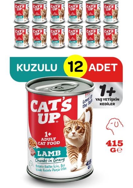 Cats Up Yaş Yetişkin Kedi Maması Kuzu Etli 415GR 12LI
